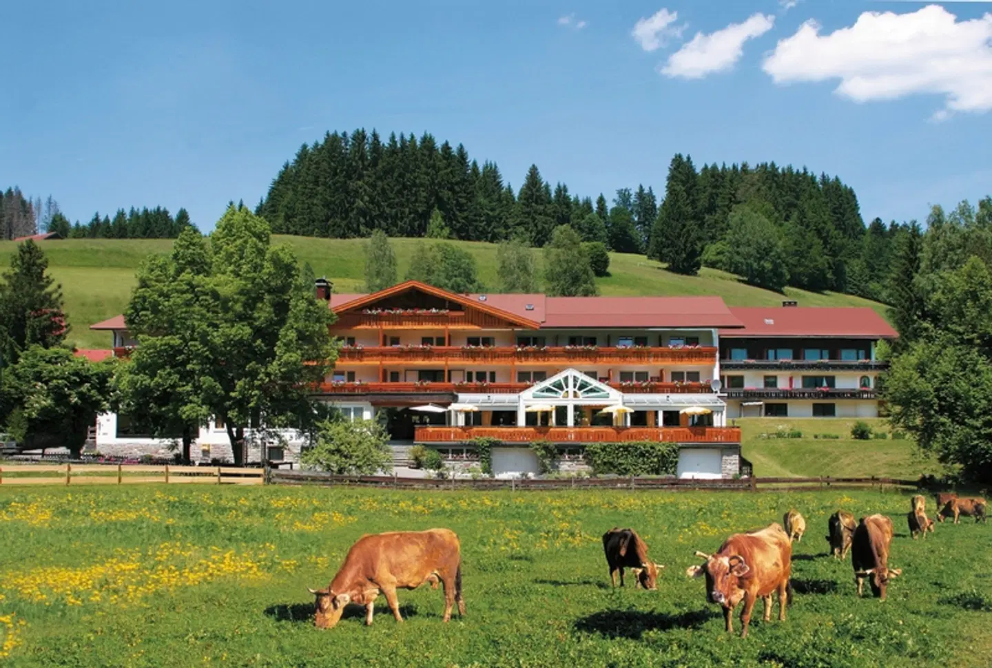 Hotel Sonnenbichl am Rotfischbach Tiere