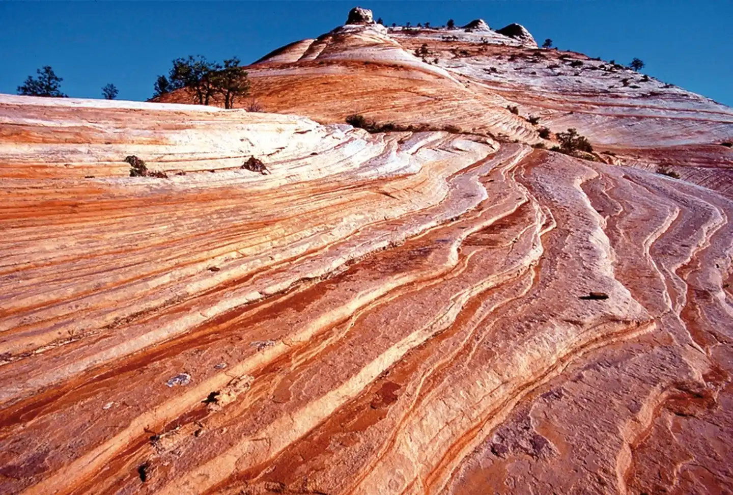 Southwest Explorer Landschaft