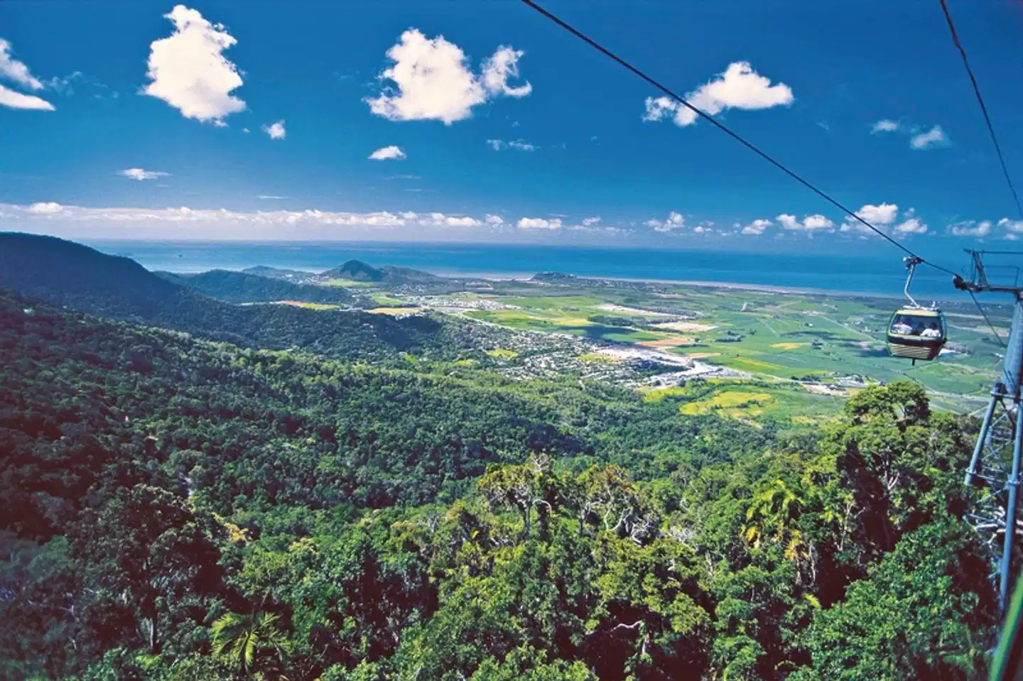 Känguru-Hüpfer Landschaft