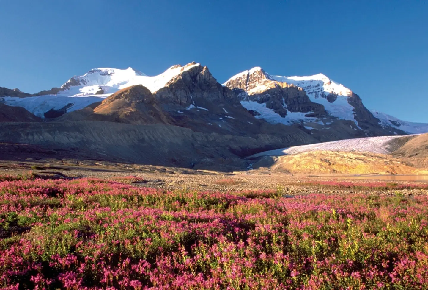 Wilderness Experience Landschaft