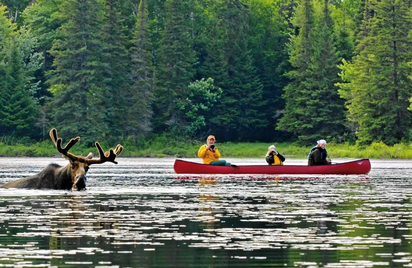 Eastern Wonders Sport und Entertainment