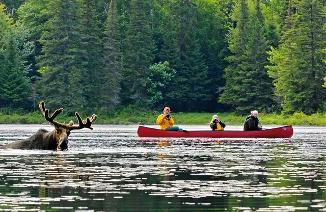 Eastern Wonders Sport und Entertainment