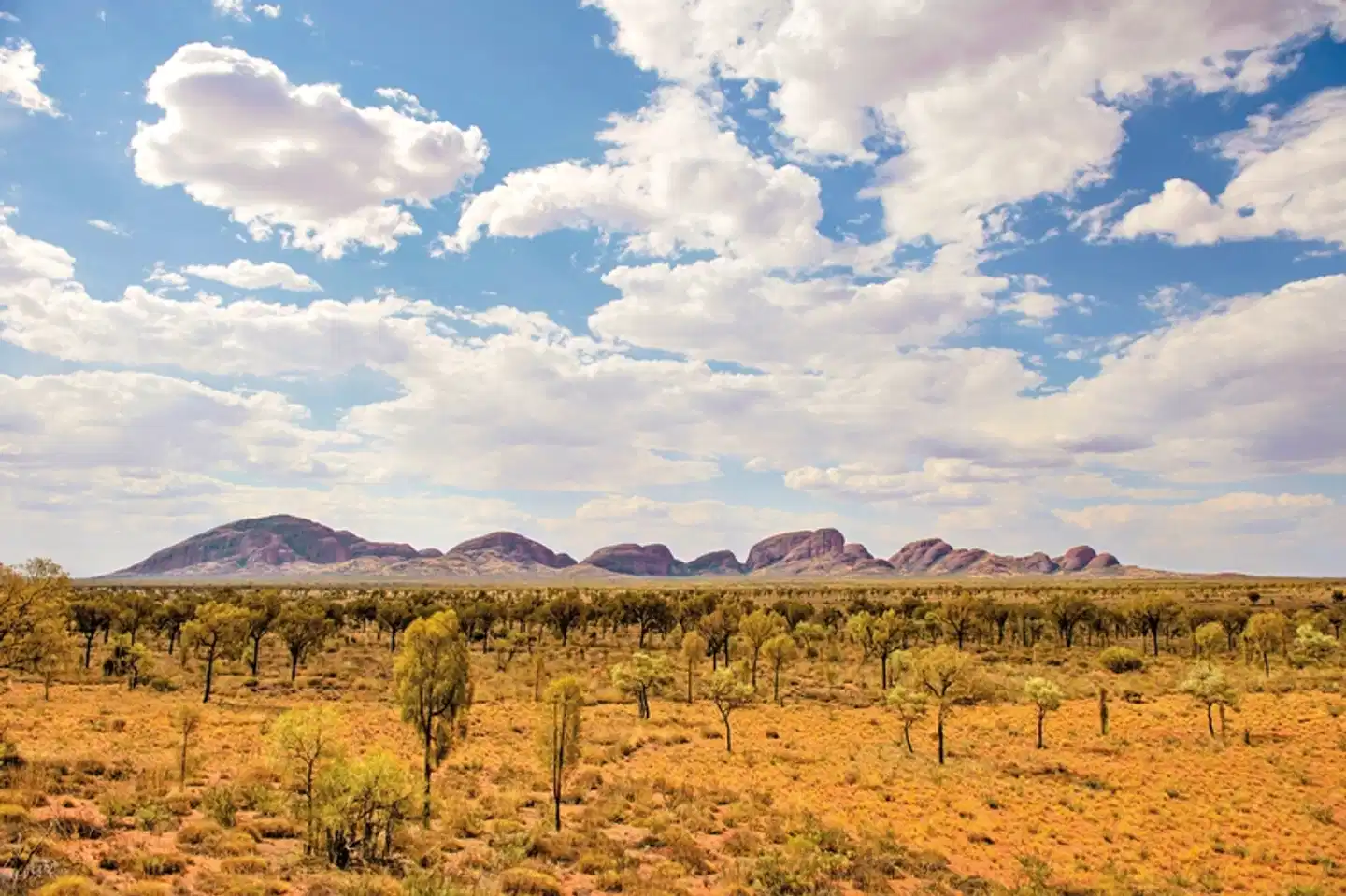 Rotes Zentrum & Kings Canyon Landschaft