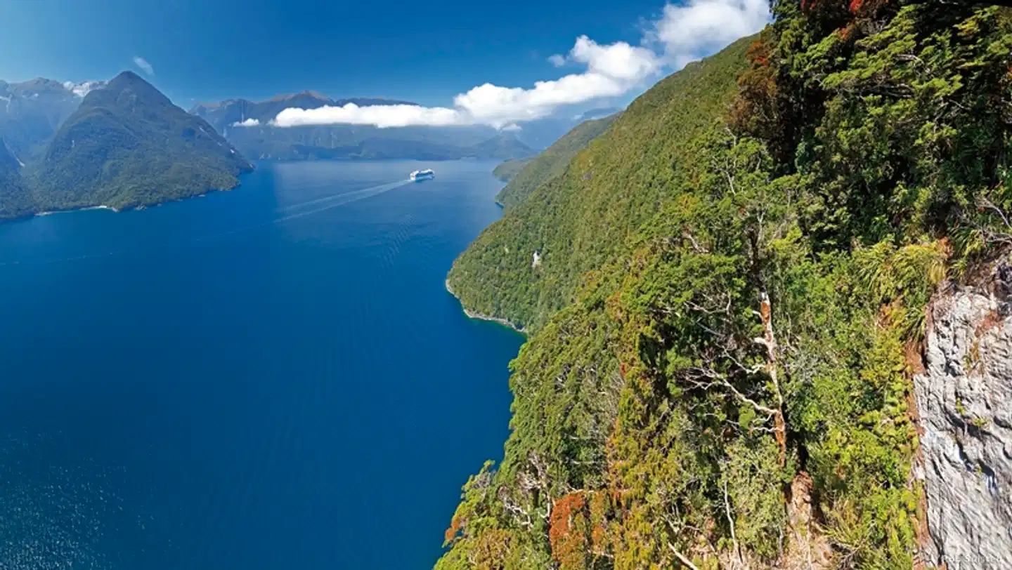 Neuseeland Intensiv Landschaft