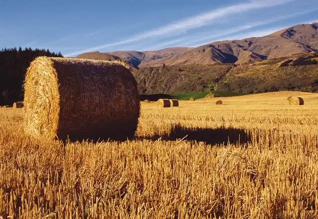 Neuseeland Intensiv Landschaft