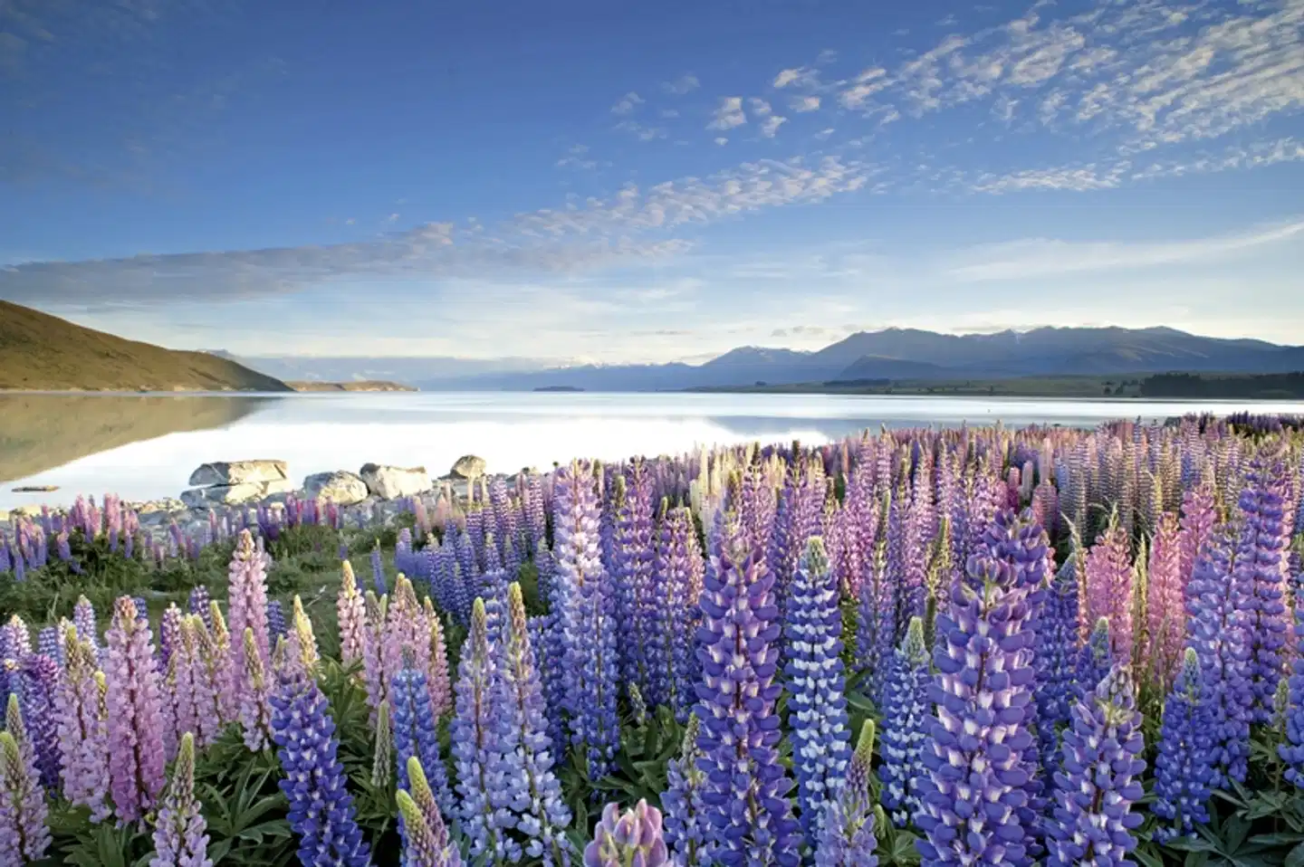 Große Neuseeland Rundreise (17 Tage/16 Nächte) Landschaft