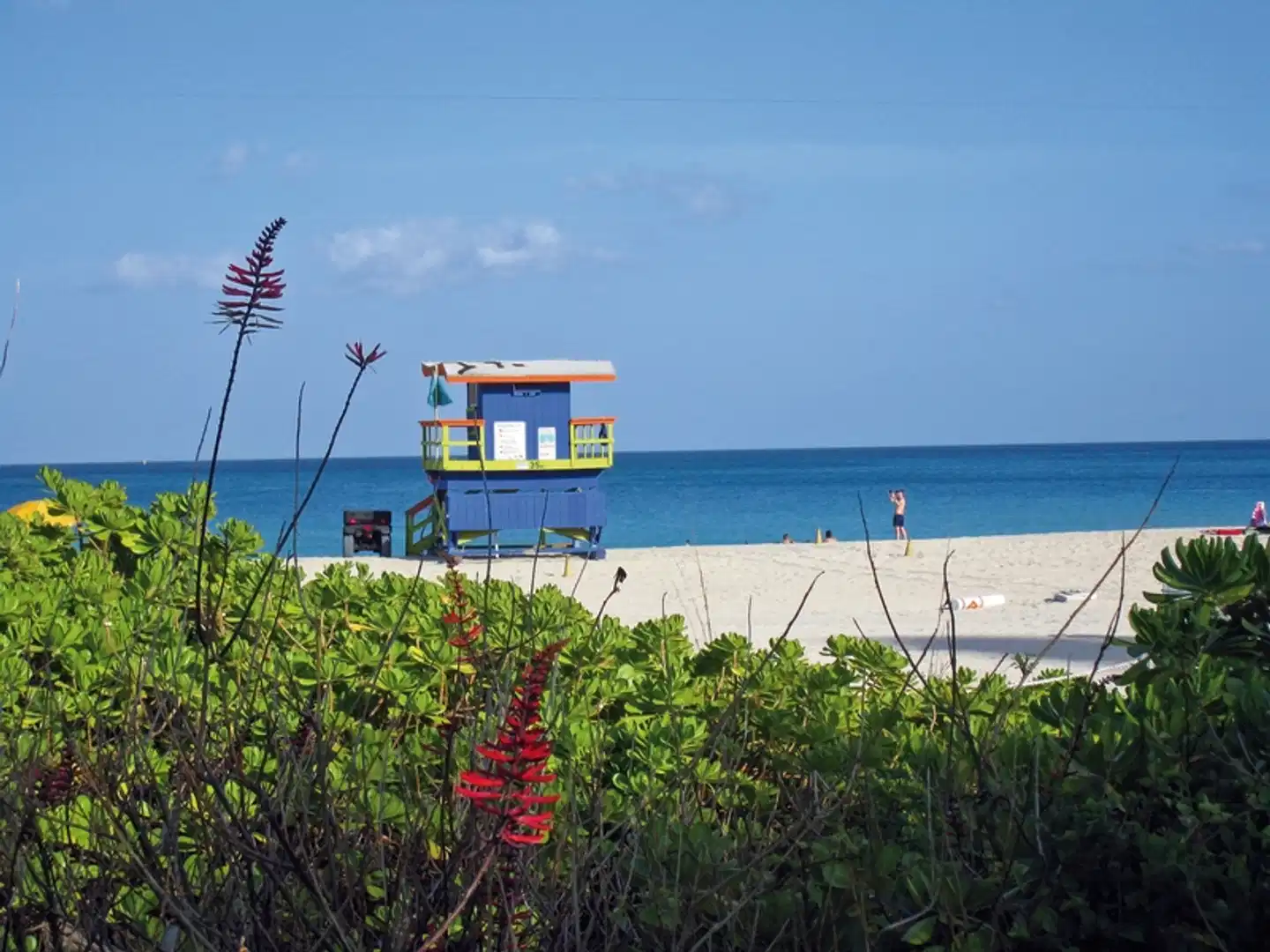 Florida Intensiv Strand