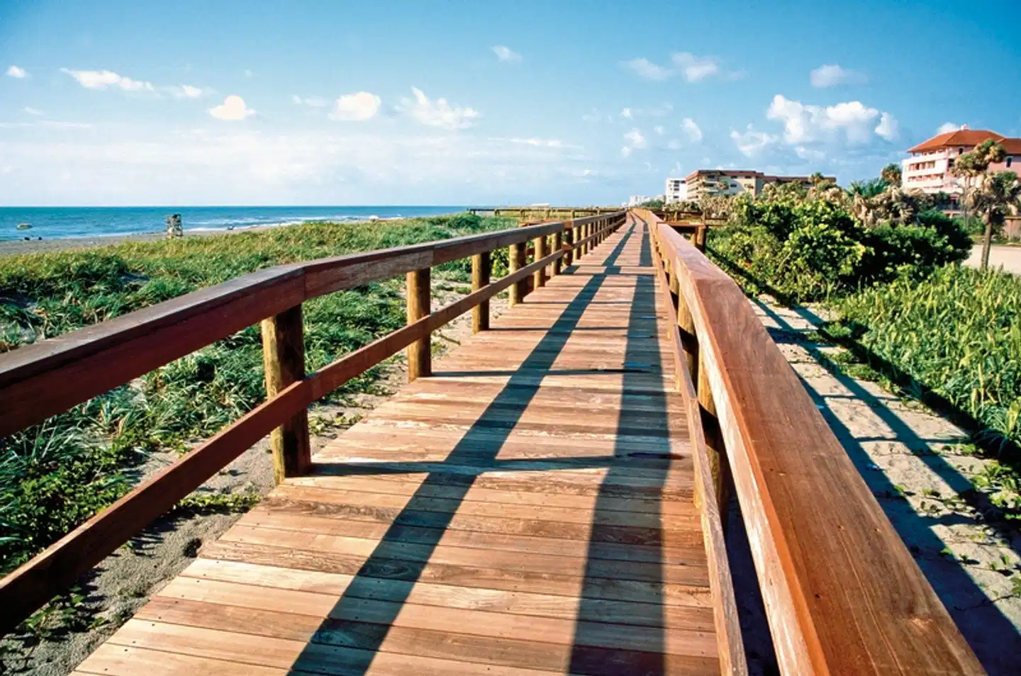 Florida Intensiv Landschaft