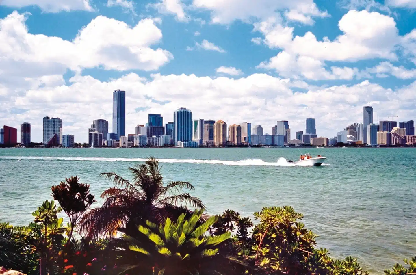 Florida Intensiv Strand