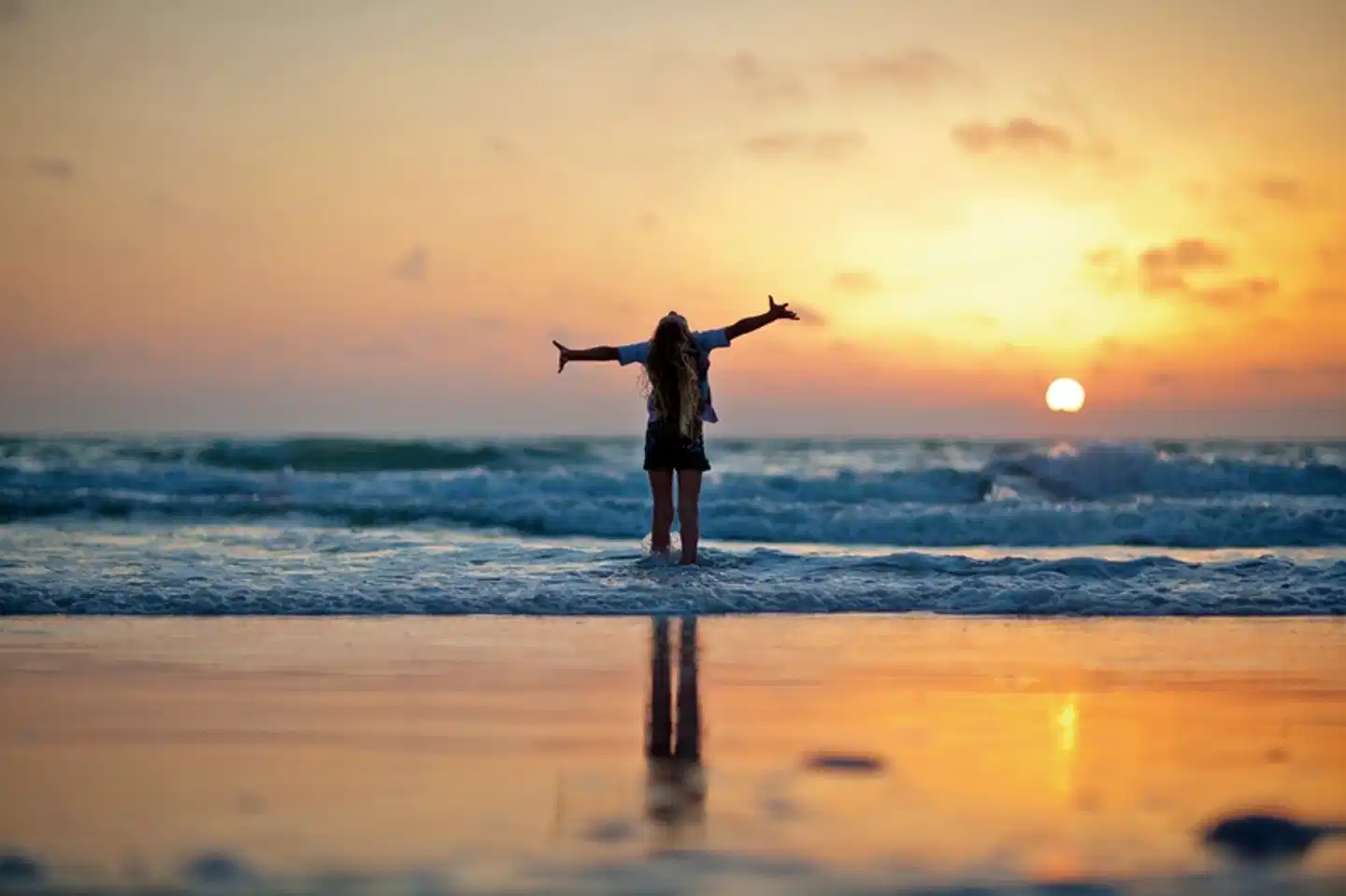 Sunshine State Sport und Entertainment