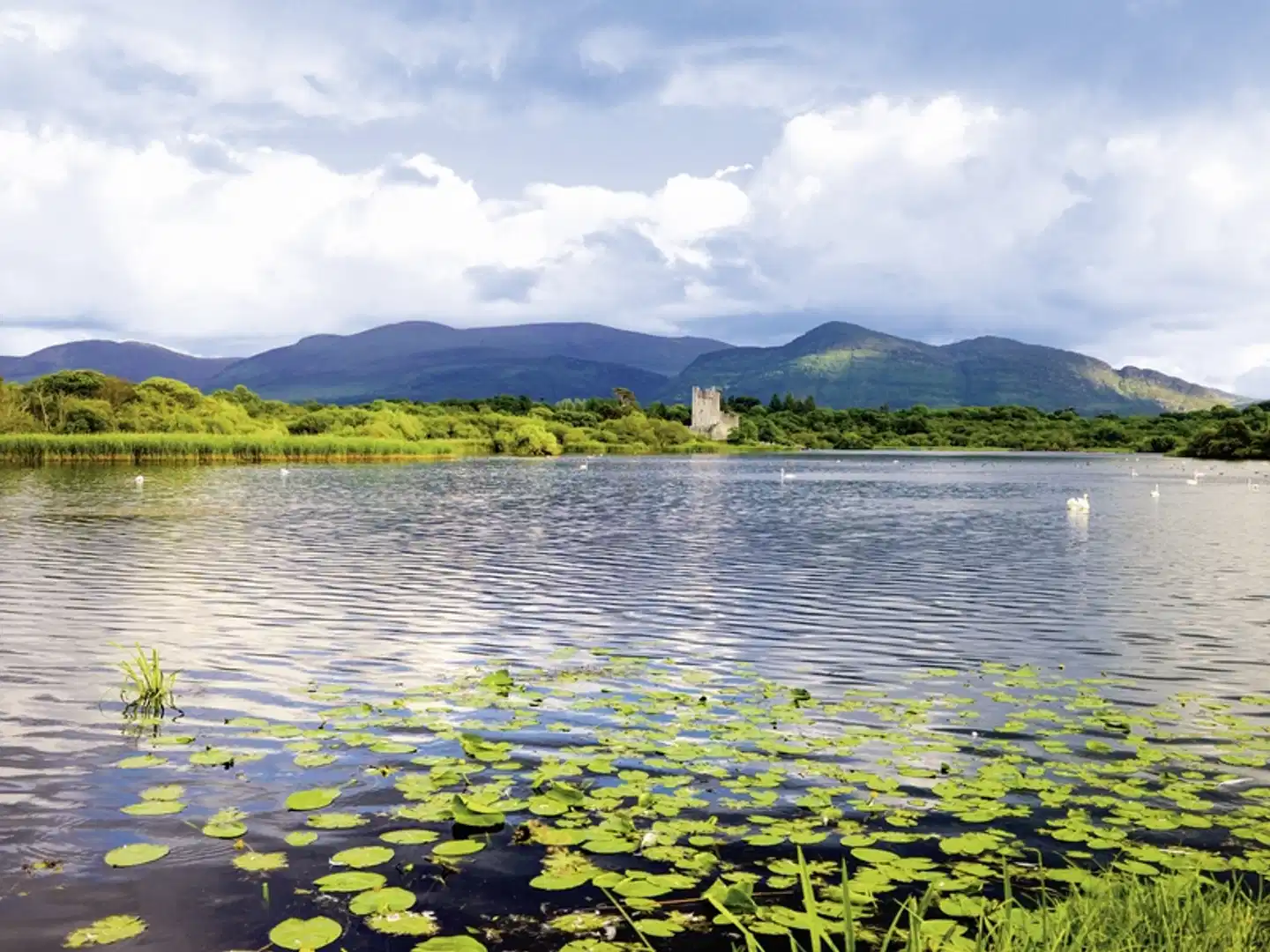 Höhepunkte rund um Killarney Landschaft