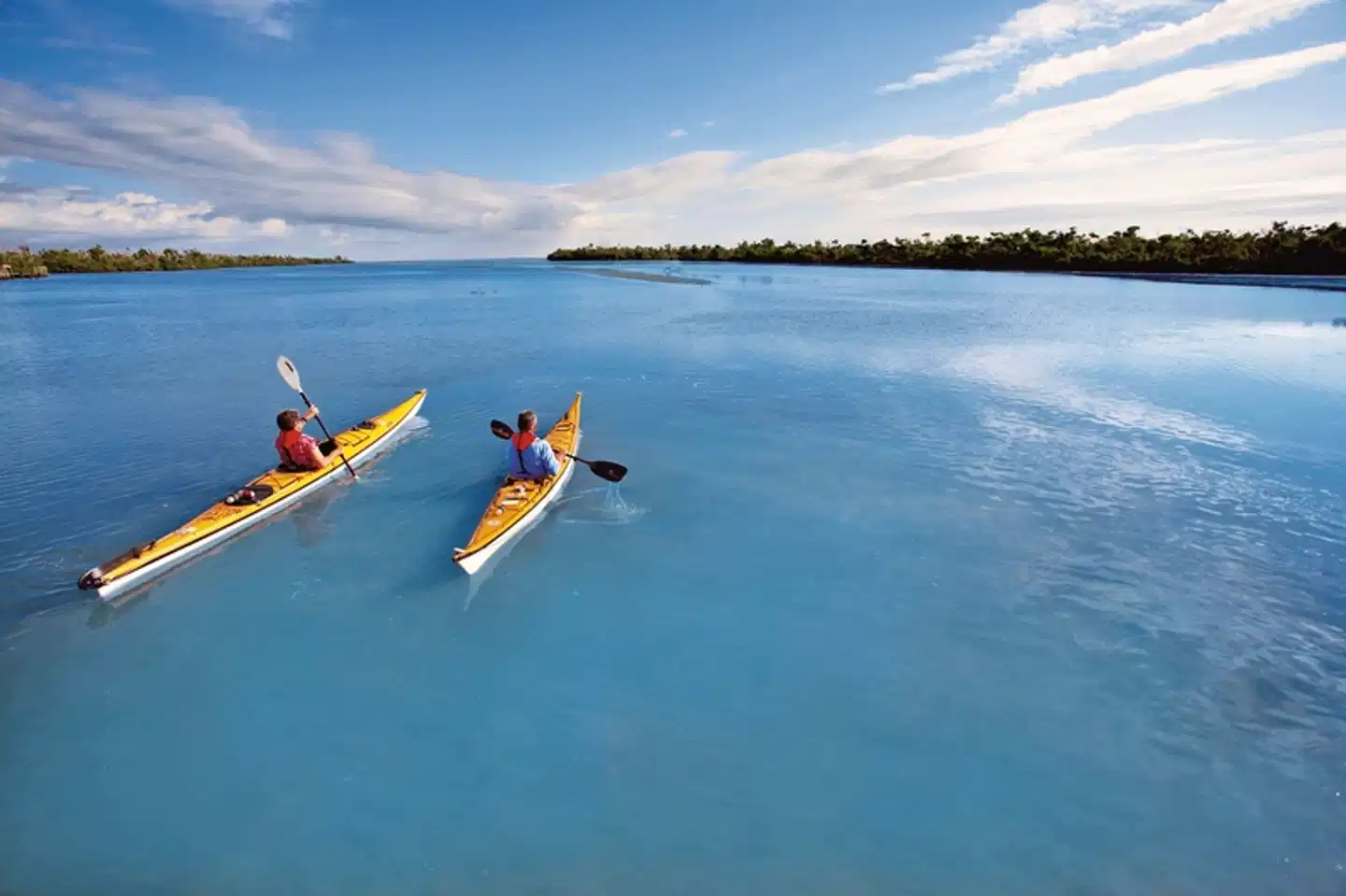 Sunshine State Sport und Entertainment