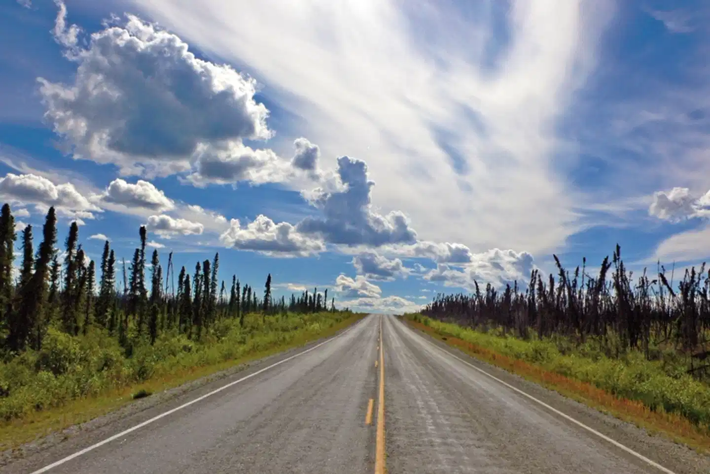 Yukon & Dempster Explorer Landschaft