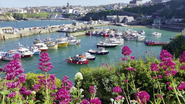 Südenglands Highlights LANDSCAPE