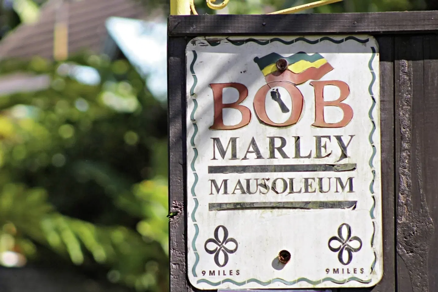 Reggae, Rum und Me(h)er MODEL_IMPRESSION