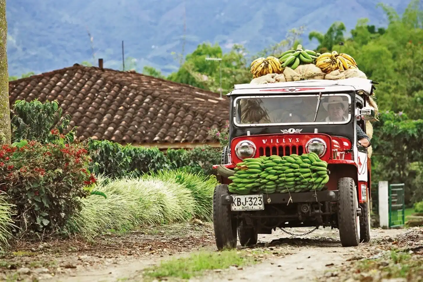 Einzigartiges Kolumbien Garten