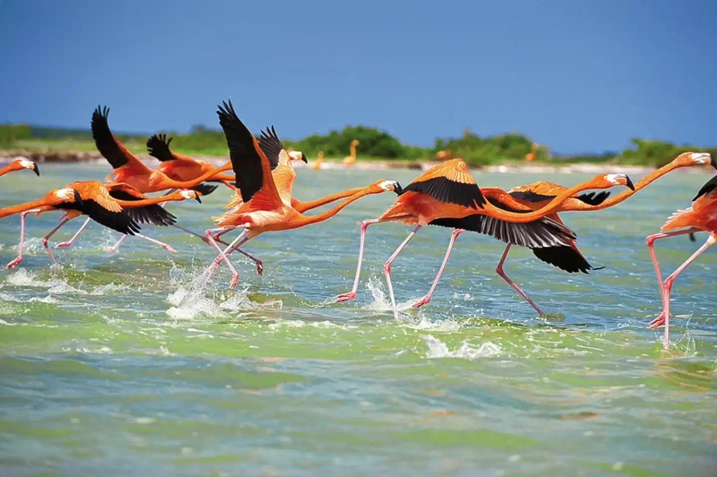 Yucatán einmal anders erleben Pool