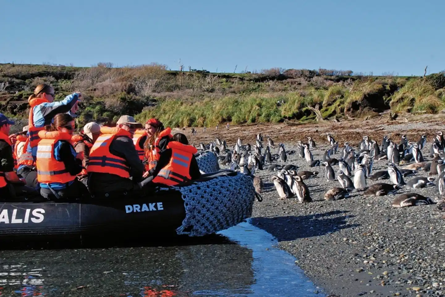 Traumlandschaften am Ende der Welt: Ventus Australis ab Punta Arenas Sport und Entertainment