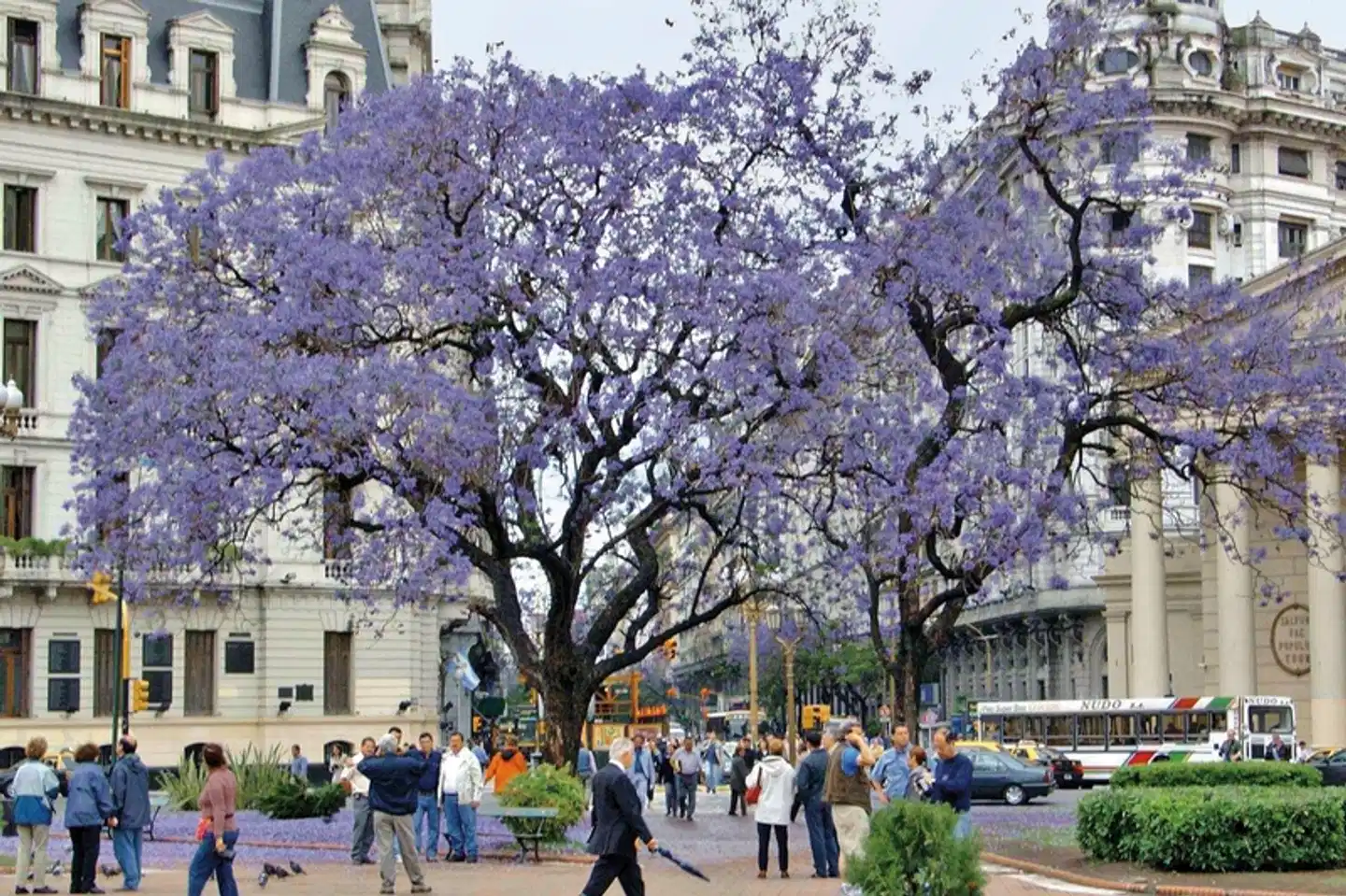 Höhepunkte Argentiniens Sport und Entertainment