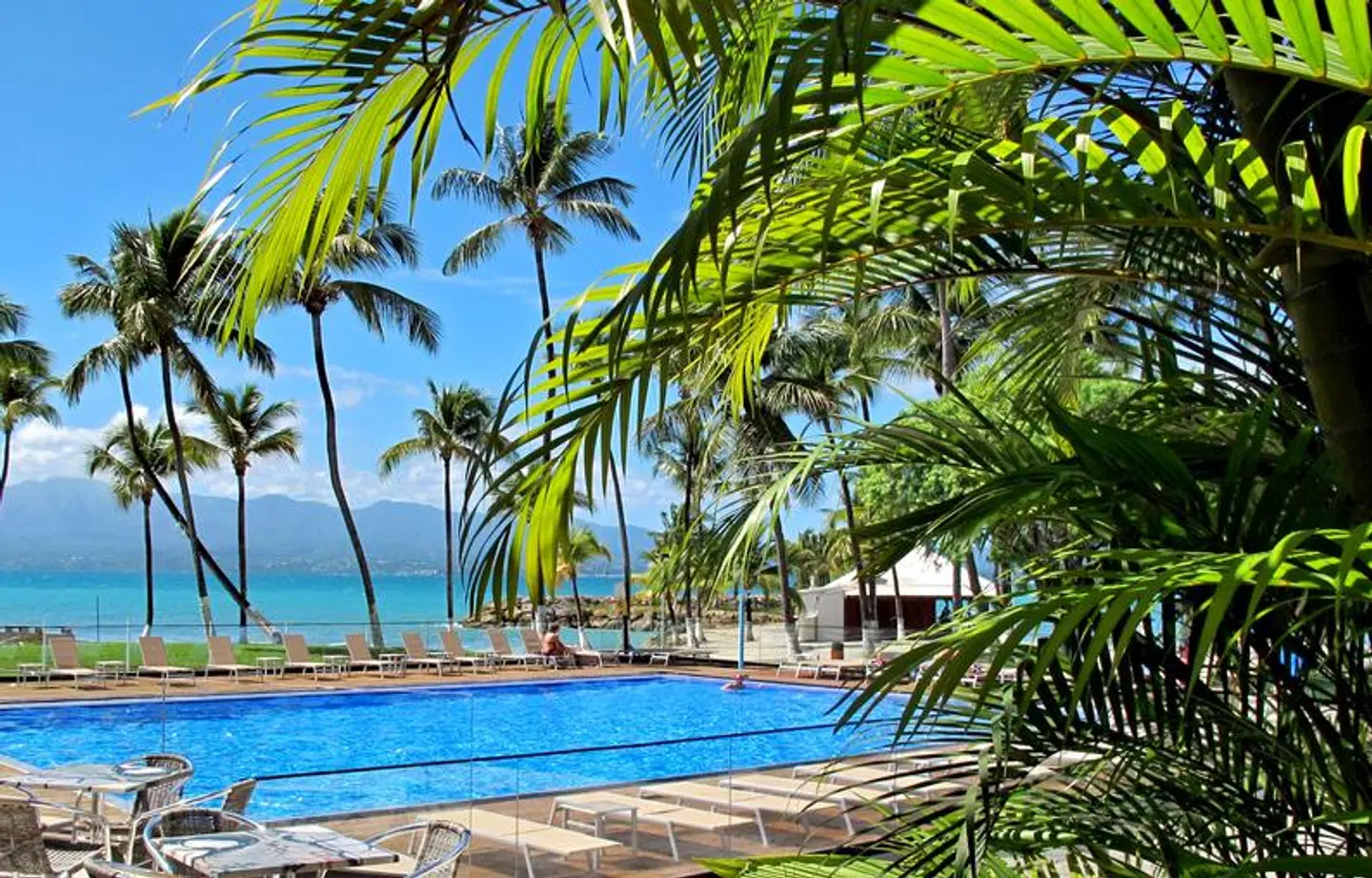 Fleur d'Epée OUTDOOR_POOL