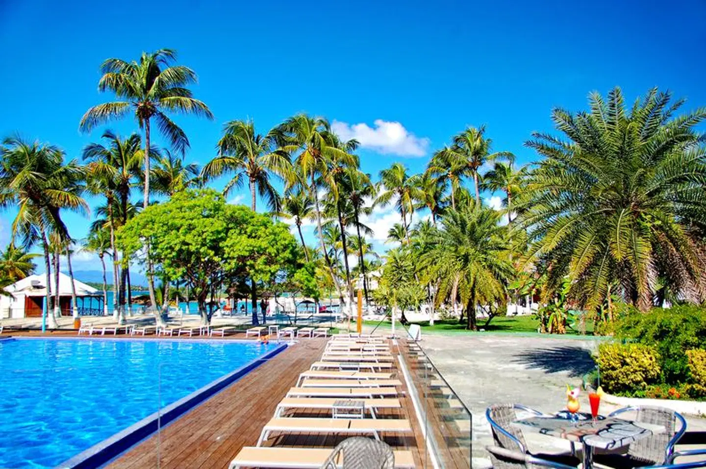 Fleur d'Epée OUTDOOR_POOL