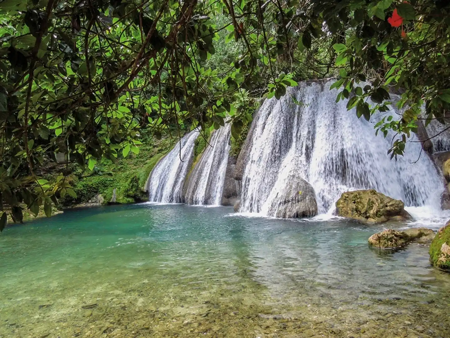 La jamaïque par vous-même Landschaft