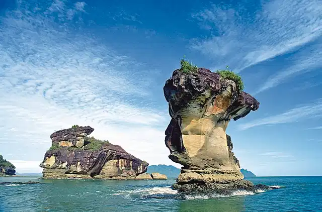 Best of Malaysia (Gruppenreise) Tiere