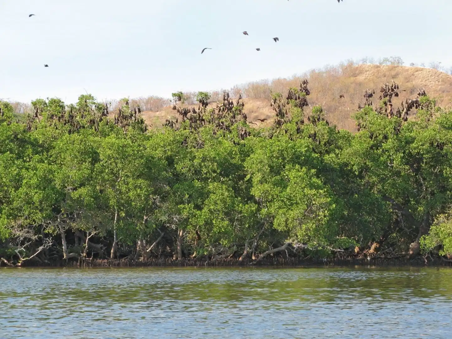 Komodo & Flores zum Kennenlernen (Privatreise) Landschaft