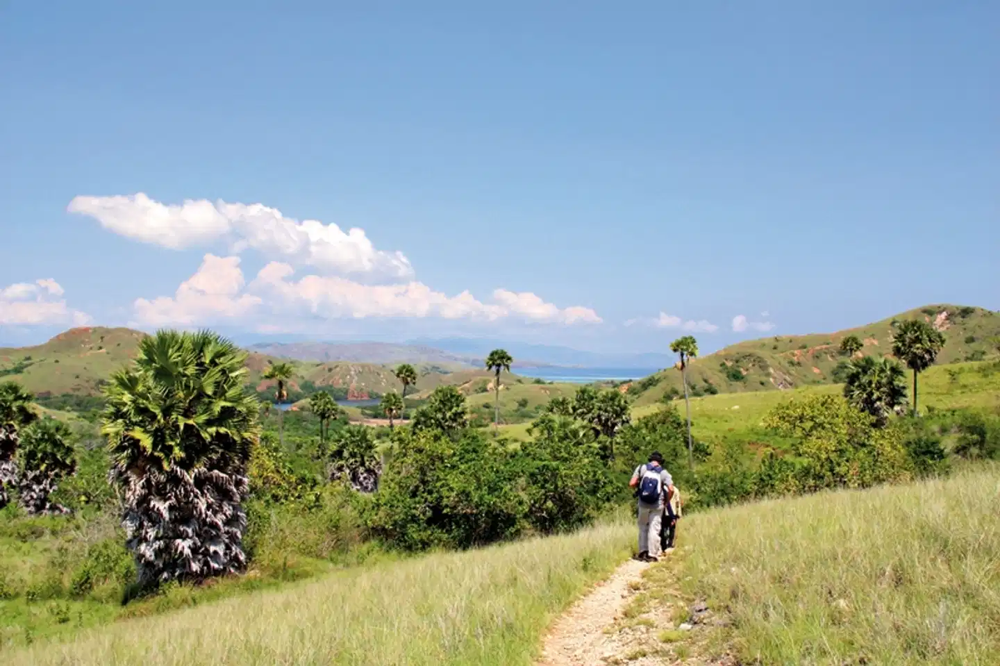 Komodo & Flores zum Kennenlernen (Privatreise) Landschaft
