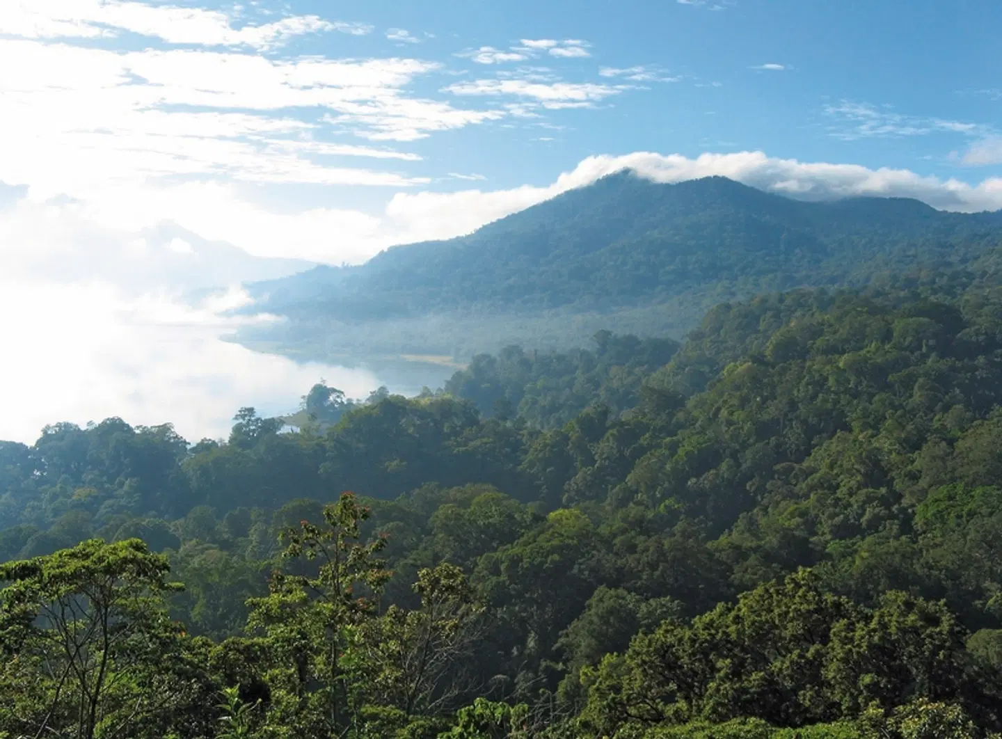 Abenteuer Westbali & Ostjava (Gruppenreise) Landschaft