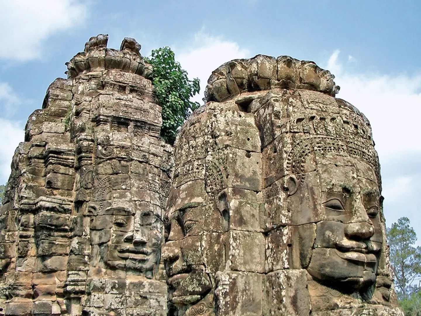 Tempelstätten Angkors (Privatreise) Tiere