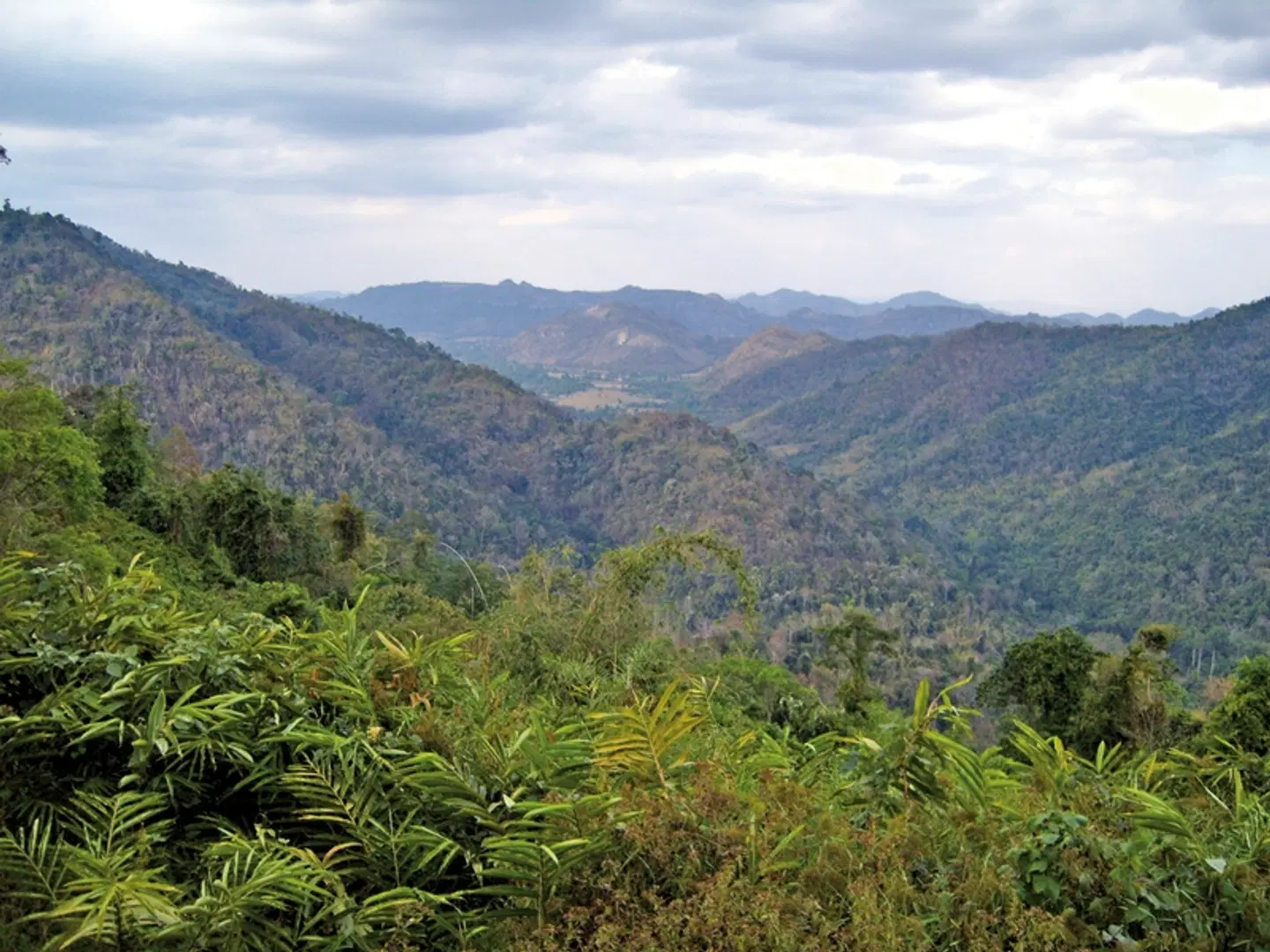 Khao Yai Nationalpark LANDSCAPE