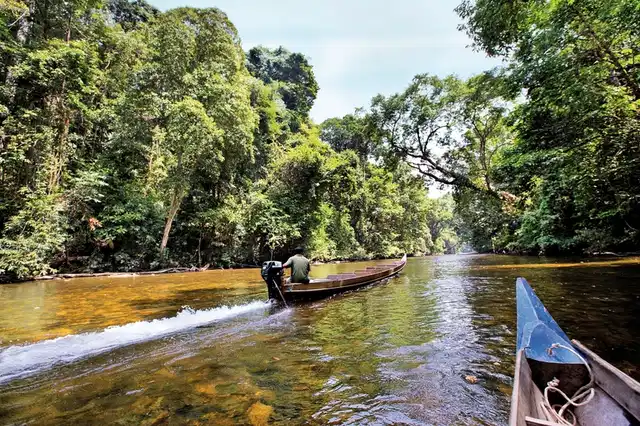 Taman Negara (2 Nächte) Landschaft