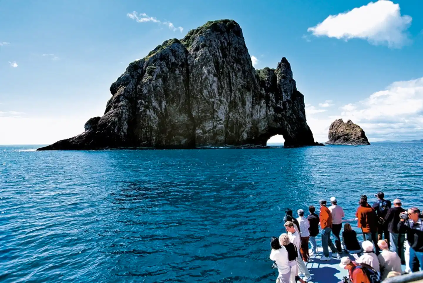 Erlebnis Neuseeland auf Schiene & Straße Landschaft