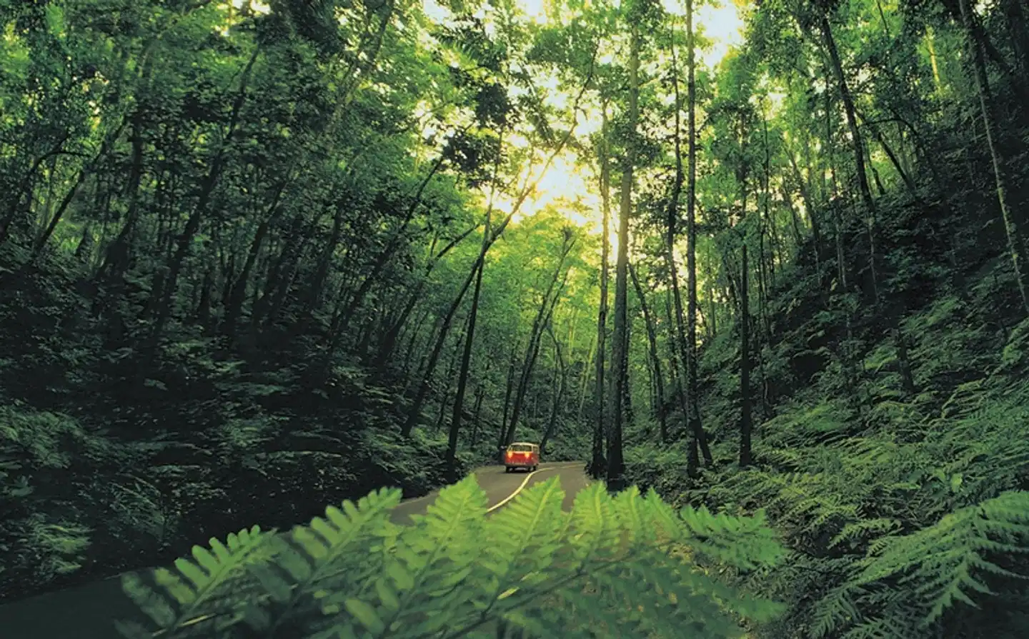 Jamaikas bunte Vielfalt Landschaft