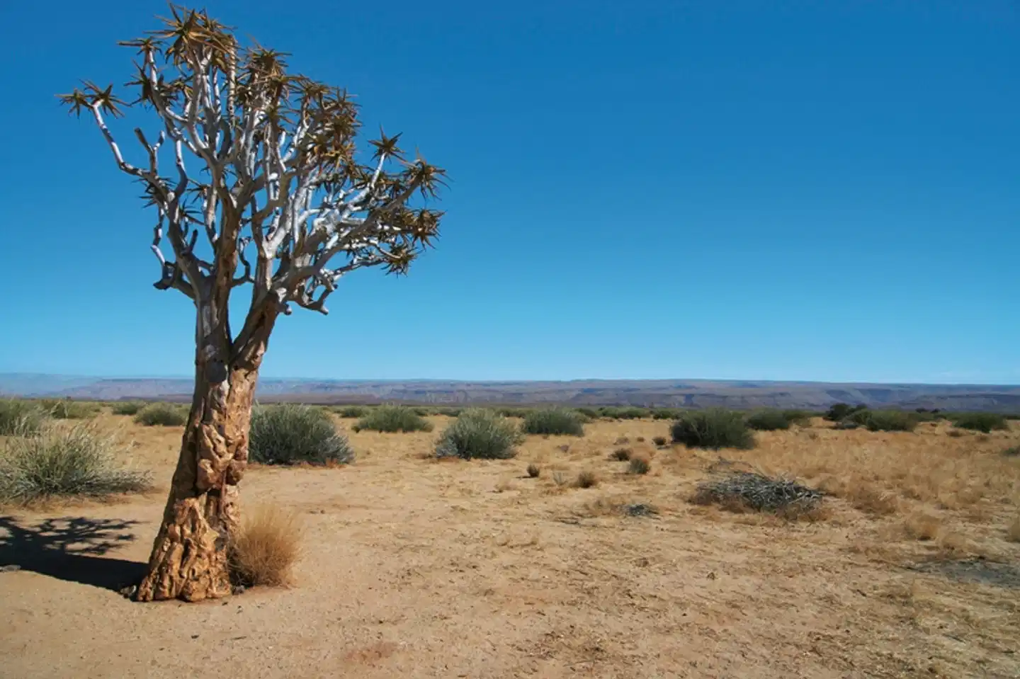 Sensation Canyons und Wüsten Standard Landschaft