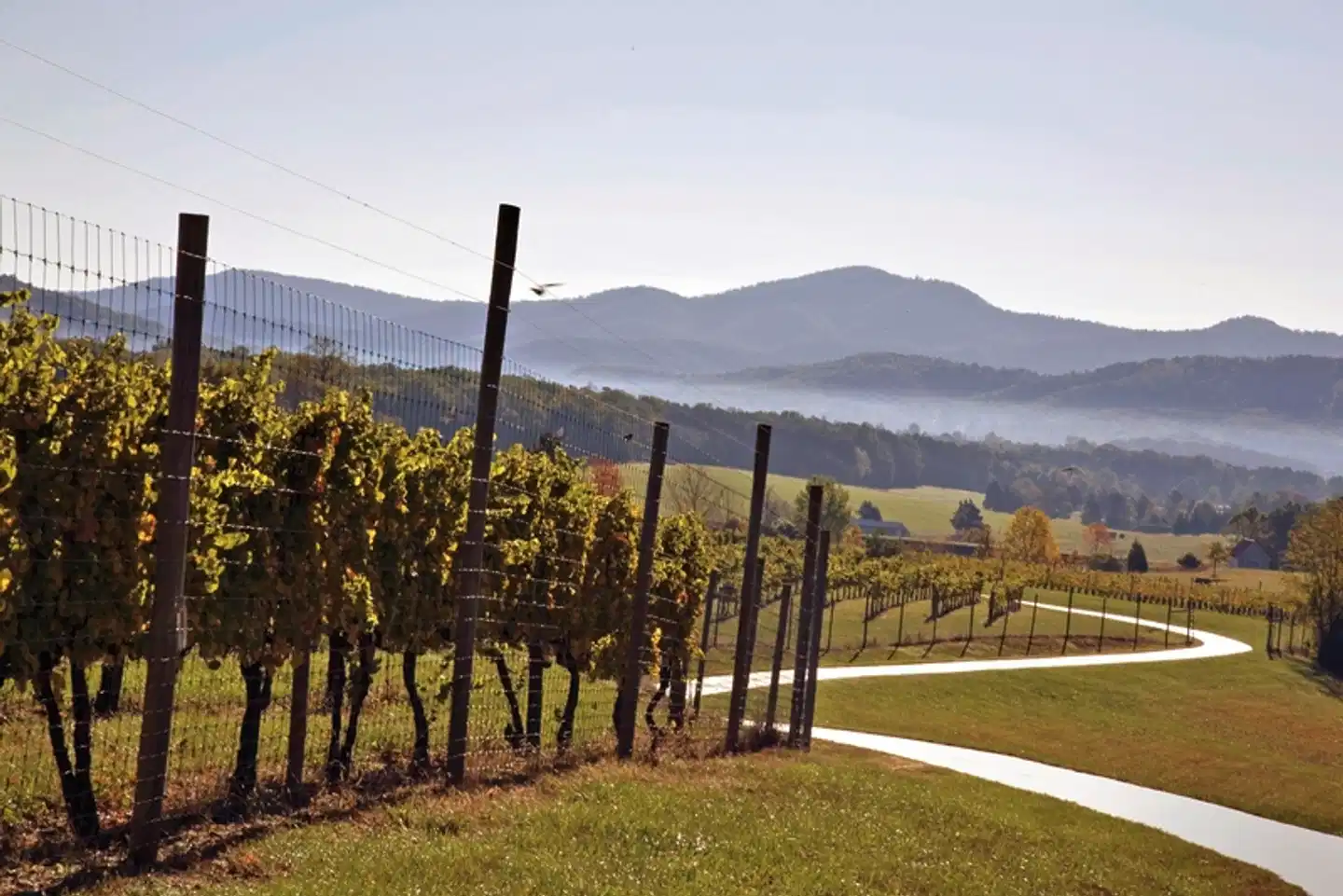 Megacity, Swing & Sun Landschaft