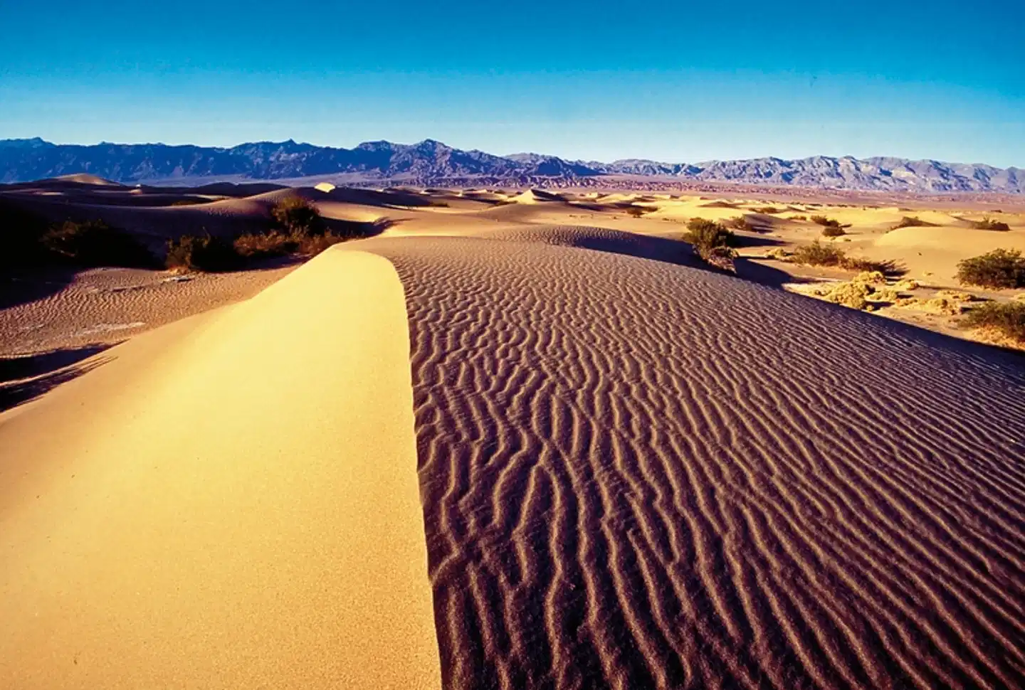 Wild West Feeling (9 Nächte) Tiere