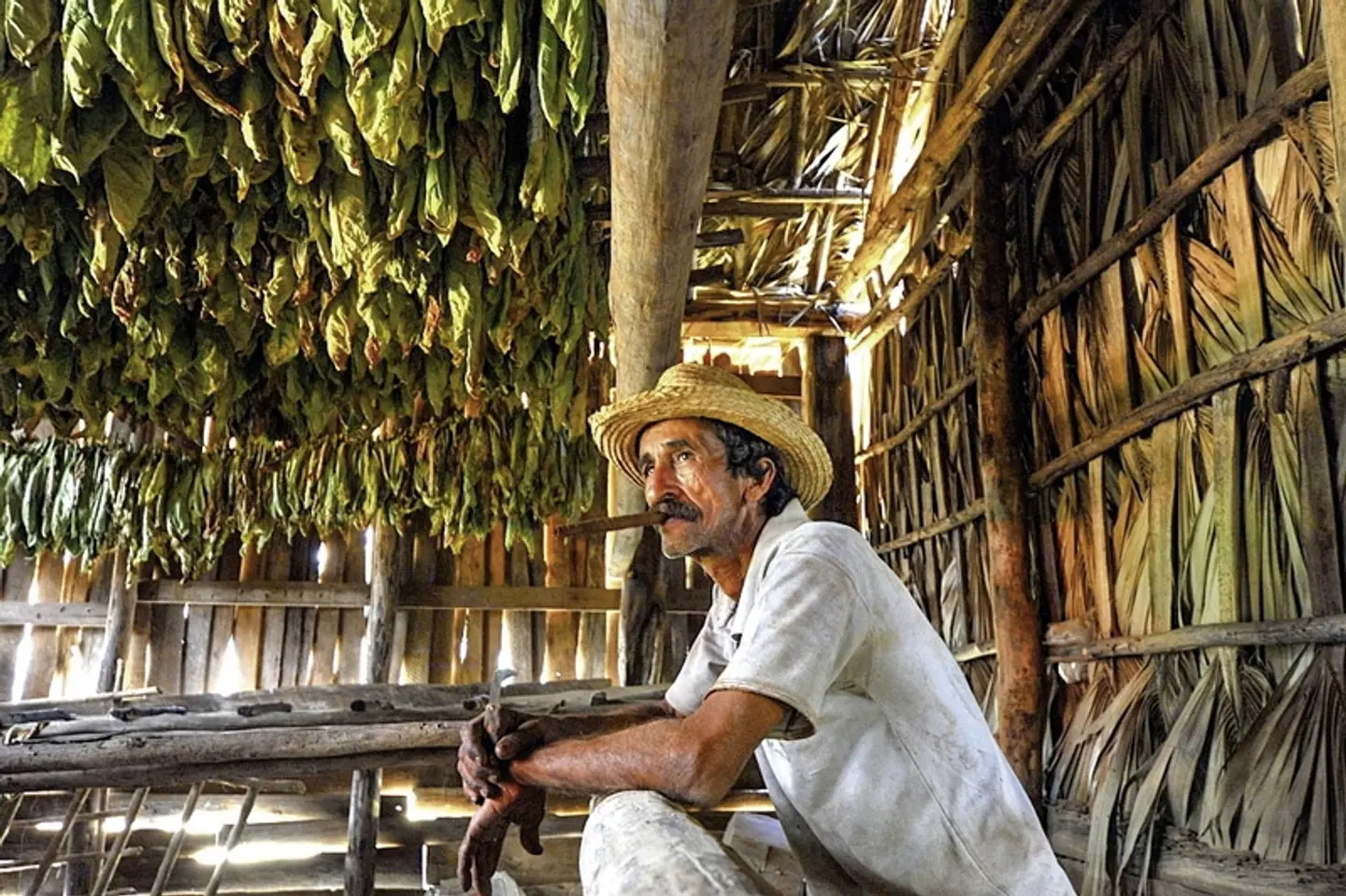 Kuba für Genießer PEOPLE