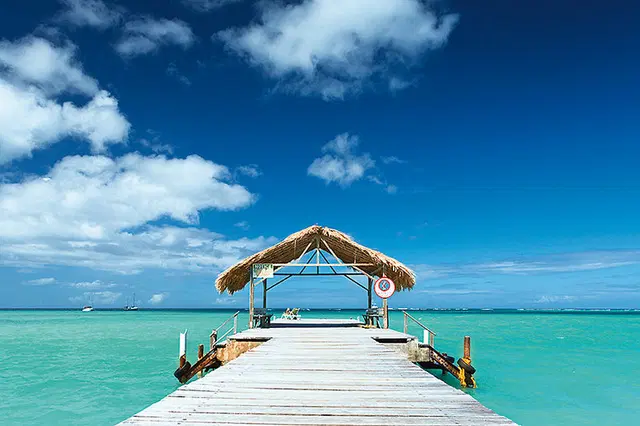 Magdalena Grand Beach & Golf Resort LANDSCAPE