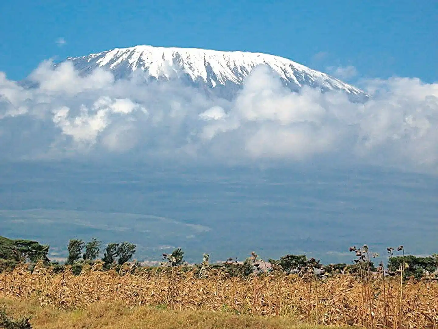 Königreich der Tiere Landschaft
