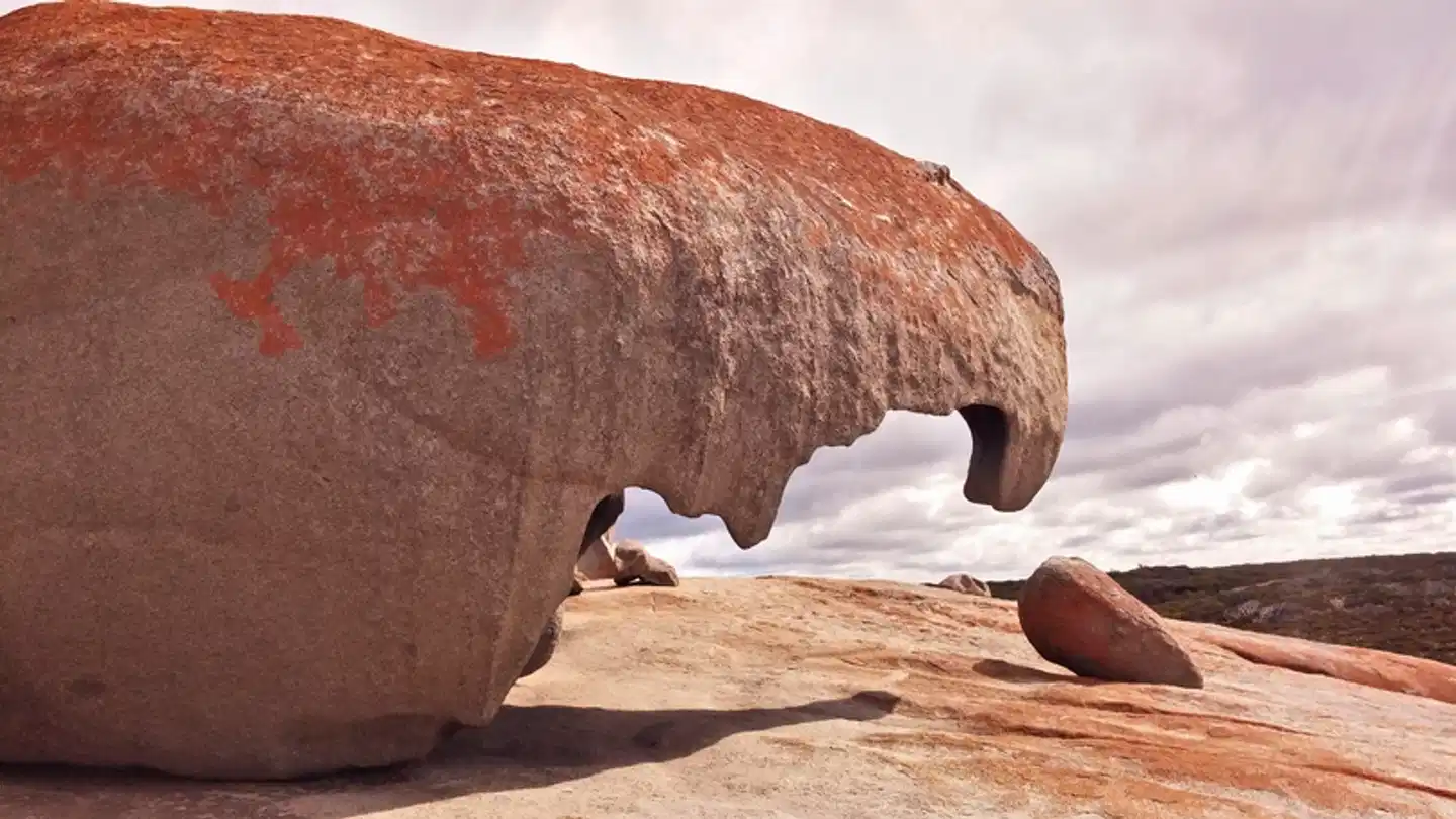 Great Ocean Road & Beyond Tiere