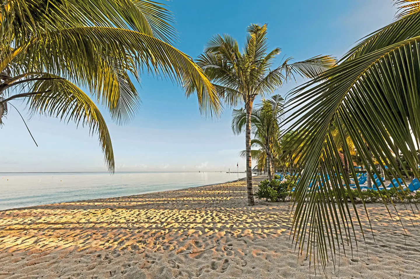 Allegro Cozumel Resort BEACH