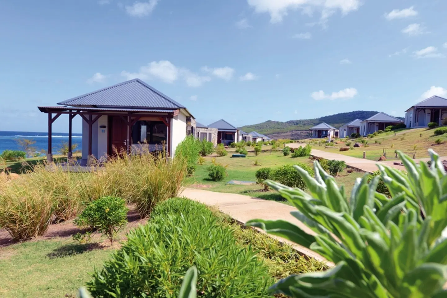 Constance Tekoma Rodrigues GARDEN