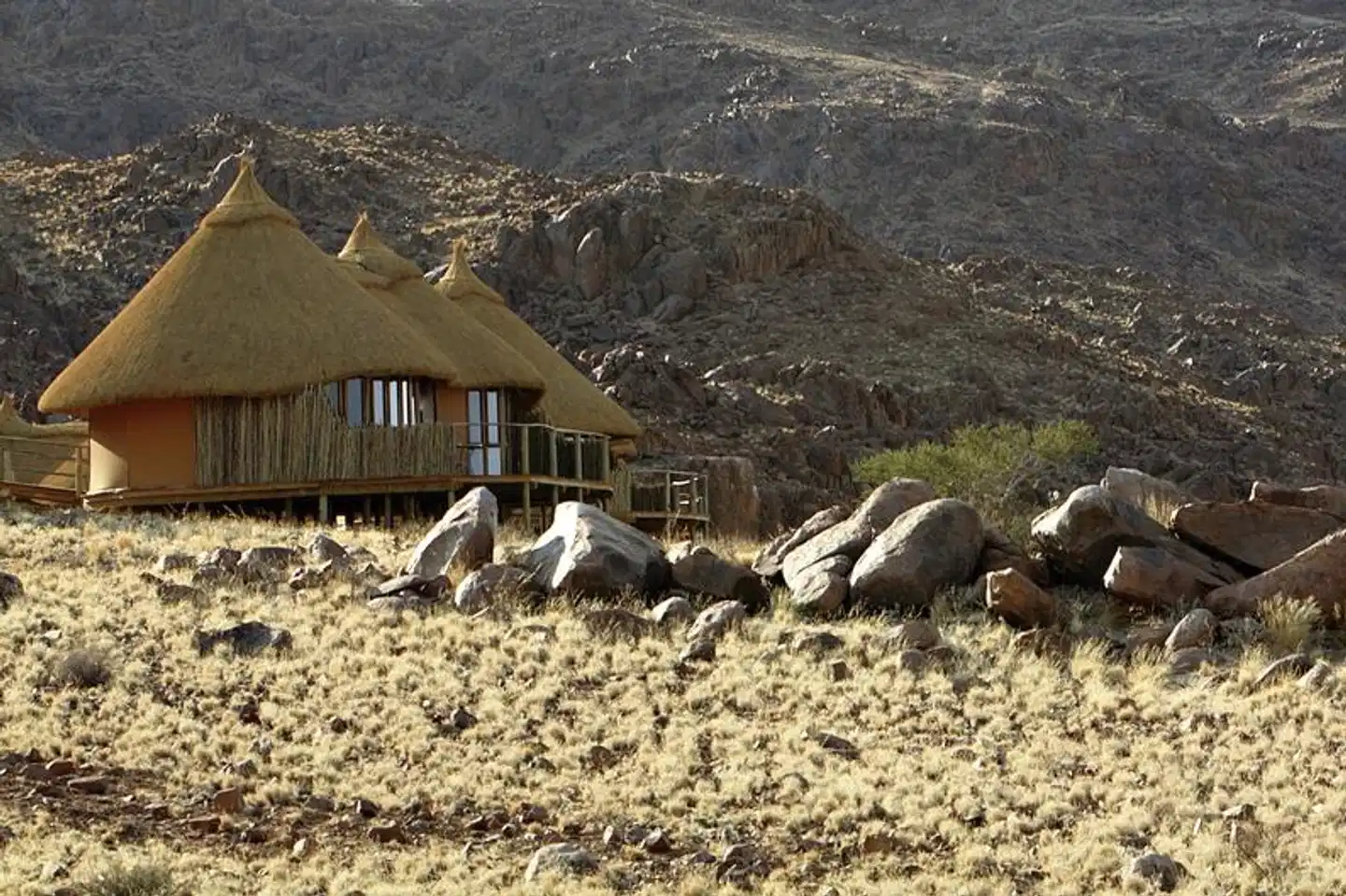 Sossus Dune Lodge Tiere