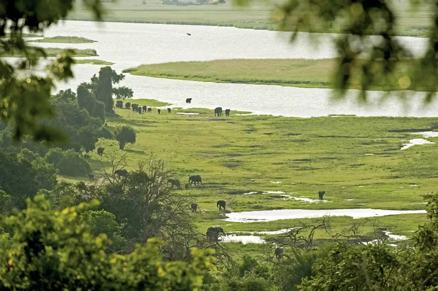Botswana Exklusiv mit Sanctuary Retreats Landschaft