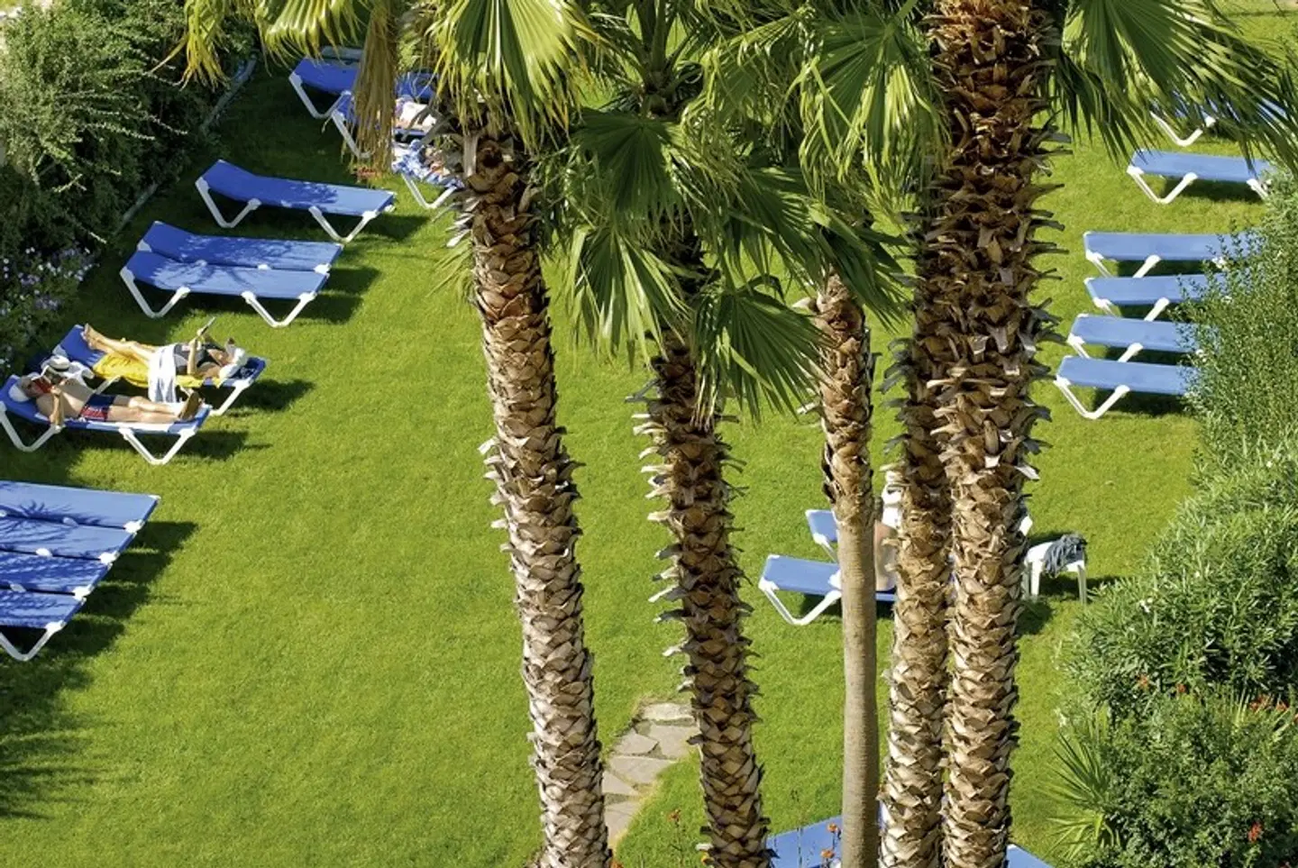 Tropic Park GARDEN