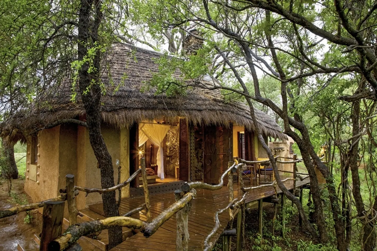 aha Makalali Private Game Lodge Tiere