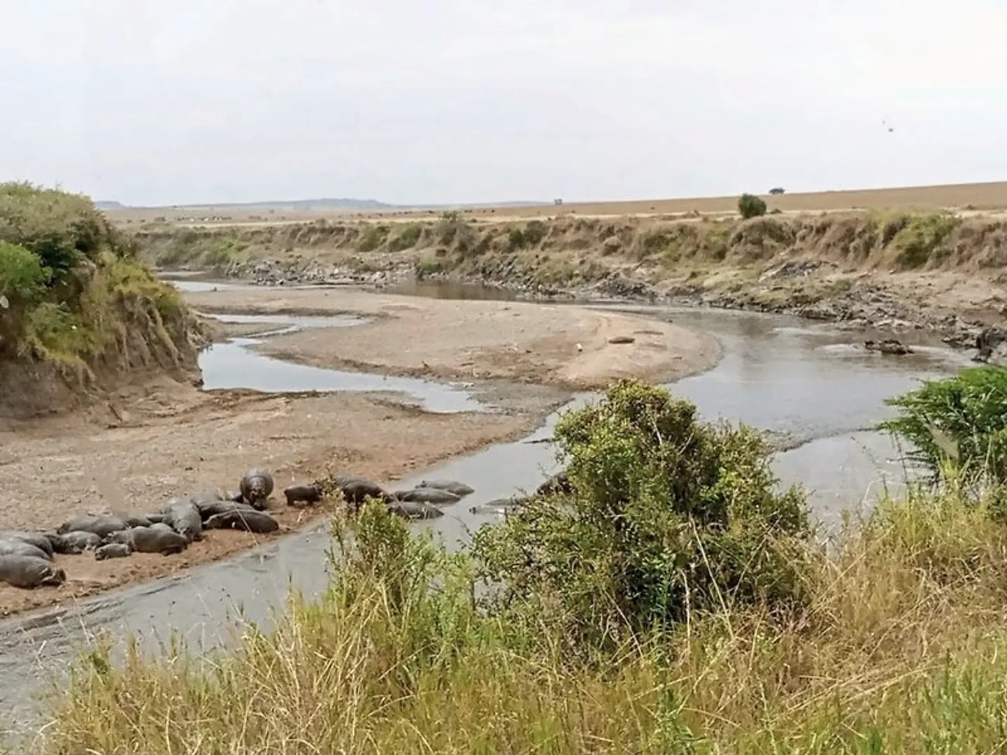 Drifters - Kenia & Tansania Explorer - Accommodated LANDSCAPE