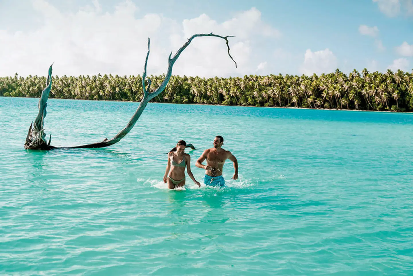 The Brando - Tetiaroa Private Island OUTDOOR_POOL